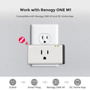 Enchufe inteligente Renogy Zigbee tipo EE. UU., sin medidor