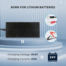 Cargador de batería de litio Renogy 24 V 10 CA a CC