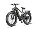 JASION Thunder Pro Ebike