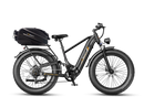 JASION Thunder Pro Ebike