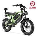 HappyRun G70 Dual Battery Fast Electric Cargo Bike Green