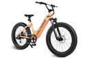 Bicicleta eléctrica de dos plazas VELOWAVE ROVER