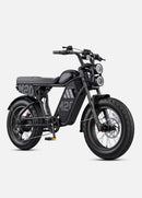 ENGWE M20 3.0 Moped Style Ebike
