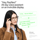 RayNeo iO Smart Glasses (black)