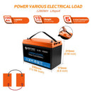 Acopower 100W poly
200Ah/1.5kW
(2x100Ah) Li200Ah P300w