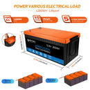 Acopower 100W poly
600Ah/3kW
(3x200Ah) Li600Ah P800w