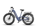 JASION Thunder Pro ST Ebike