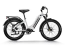 Himiway D5 (Zebra) / All-terrain Electric Fat Bike