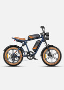 ENGWE M20 2.0 Electric Bike