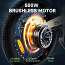 isinwheel U5 Pro Folding Electric Bike