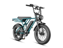 JASION RetroVolt Pro Ebike