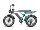 JASION RetroVolt Pro Ebike