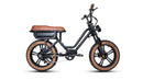 FLASH LITE ST 1.0