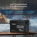 Batería LiFePO4 Core Mini - 12.8V 200Ah con protección contra baja temperatura