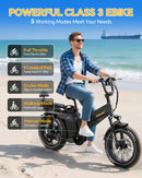 TESWAY X7 PRO Long-Range Cargo Ebike