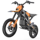 isinwheel Monster MT2 Electric Dirt Bike