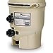 Filtro de alto caudal Pentair Quad DE | 60 pies cuadrados | 120 GPM