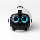 Robot acompañante de la familia Enabot EBO X