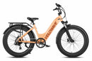Bicicleta eléctrica de dos plazas VELOWAVE ROVER