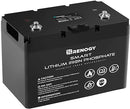 Pro - Renogy 12V 100Ah Smart Lithium Iron Phosphate Battery w/Bluetooth & Self-heating Function