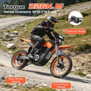 HiQiS MT17 Electric Dirt Bike