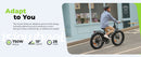isinwheel M60 750W All-Terrain Electric Bike