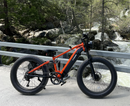 CycUltra All-terrain Electric Bike