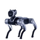 Magiclab MagicDog