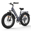 isinwheel M60 750W All-Terrain Electric Bike