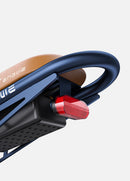 ENGWE M20 2.0 Electric Bike