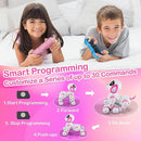 Contixo Smart Interactive 4-Wheeled Pet Dog Toy with Remote Control R3