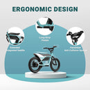 Bicicleta eléctrica para niños Himiway C1