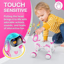 Contixo Smart Interactive 4-Wheeled Pet Dog Toy with Remote Control R3