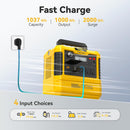 Togo POWER Estación de energía portátil Advance 1000LFP