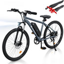 isinwheel M10 500W Electric Commuter Bike