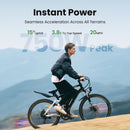 isinwheel M50 Mountain Ebike