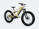 Bicicleta de carretera eléctrica Velowave Spirit