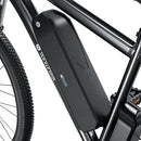 isinwheel M10 500W Electric Commuter Bike