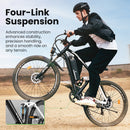 isinwheel M50 Mountain Ebike