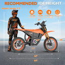 HiQiS MT17 Electric Dirt Bike