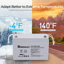 Renogy RNG-BATT-AGM12-100 - Batería Renogy de ciclo profundo AGM de 12 V y 100 Ah para productos fuera de la red, vehículos recreativos