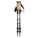 Juego de bastones de trekking de carbono Alpen