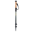 Juego de bastones de trekking de carbono Alpen