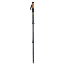 Juego de bastones de trekking de carbono Alpen