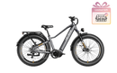 Bicicleta eléctrica Heybike Alpha