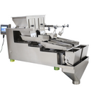 Complete Vertical Form Fill and Seal (VFFS) Packaging System with 10-Head Radial Weigher