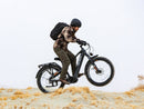 Bicicleta eléctrica Heybike Alpha