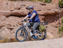 Bicicleta eléctrica Heybike Alpha