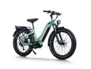 HimiwayD5 Pro ST / Bicicleta eléctrica todoterreno de neumáticos anchos