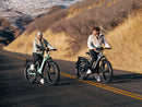 Himiway D5 (Zebra) / All-terrain Electric Fat Bike